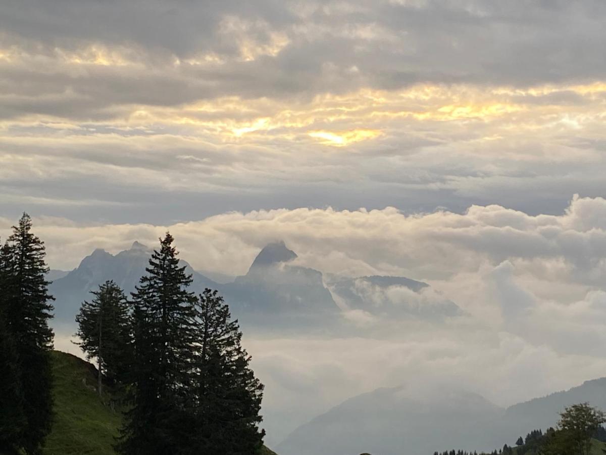 Rigi-Burggeist Alpine Guesthouse ゲルサウ エクステリア 写真