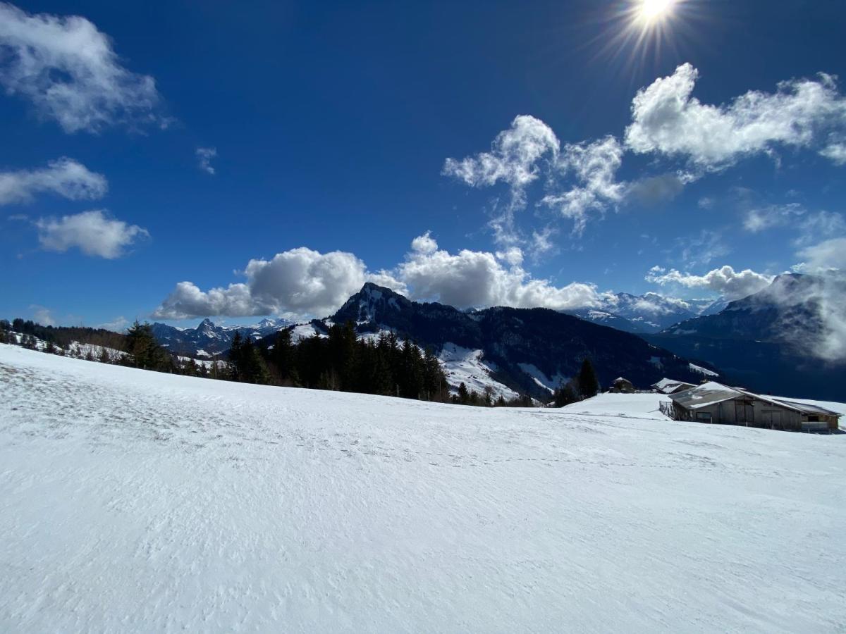 Rigi-Burggeist Alpine Guesthouse ゲルサウ エクステリア 写真