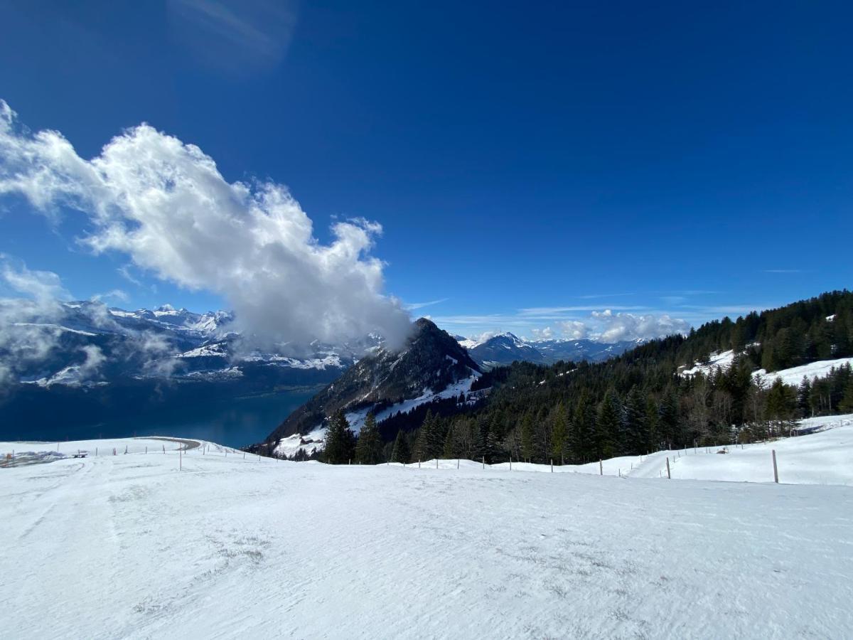 Rigi-Burggeist Alpine Guesthouse ゲルサウ エクステリア 写真