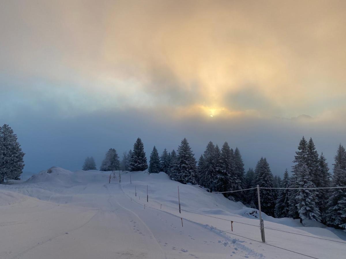 Rigi-Burggeist Alpine Guesthouse ゲルサウ エクステリア 写真