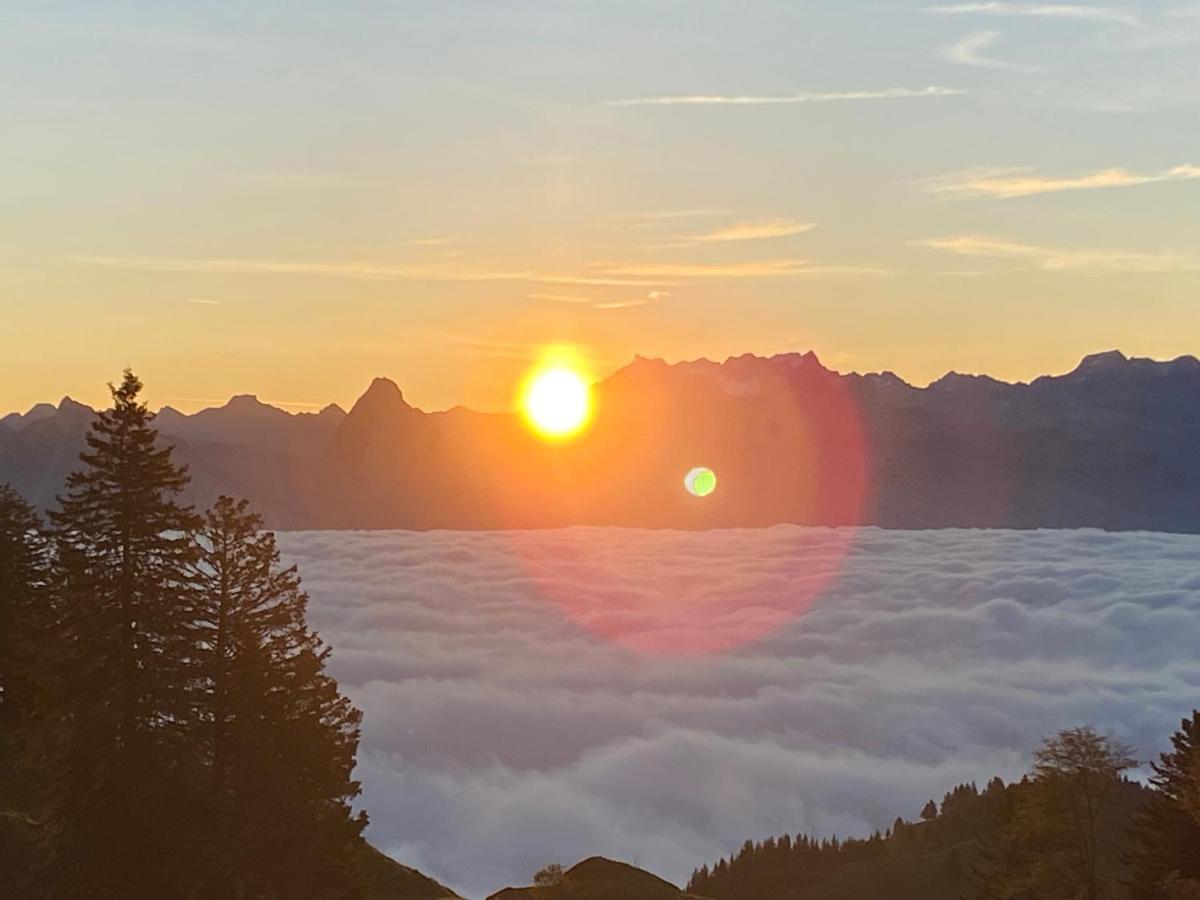 Rigi-Burggeist Alpine Guesthouse ゲルサウ エクステリア 写真