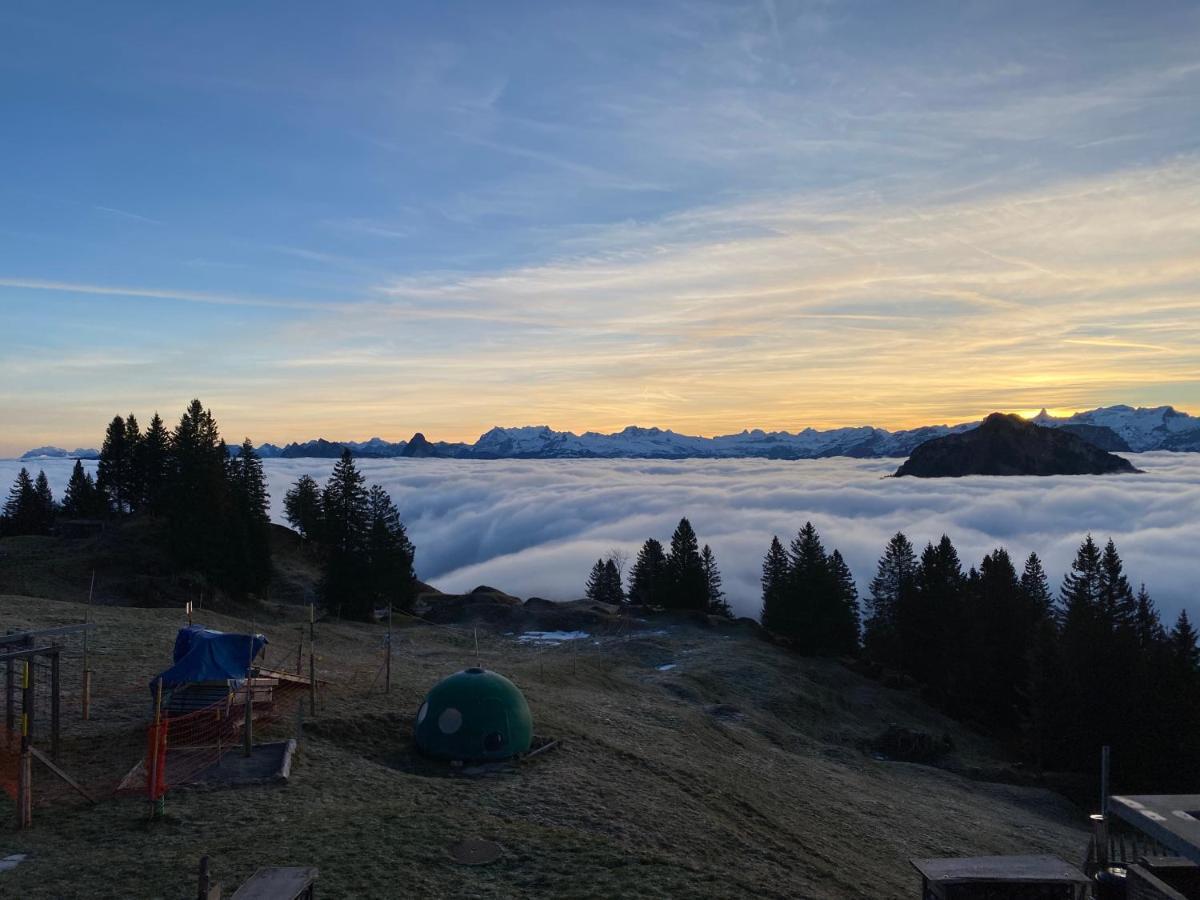 Rigi-Burggeist Alpine Guesthouse ゲルサウ エクステリア 写真