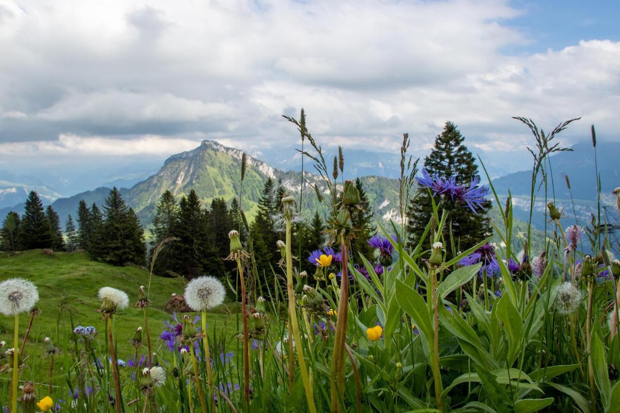 Rigi-Burggeist Alpine Guesthouse ゲルサウ エクステリア 写真