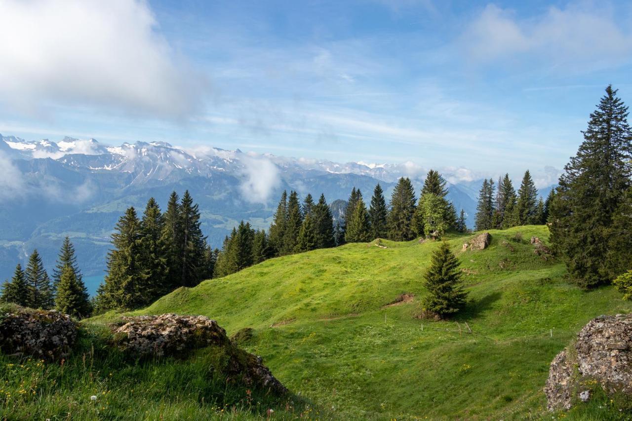 Rigi-Burggeist Alpine Guesthouse ゲルサウ エクステリア 写真