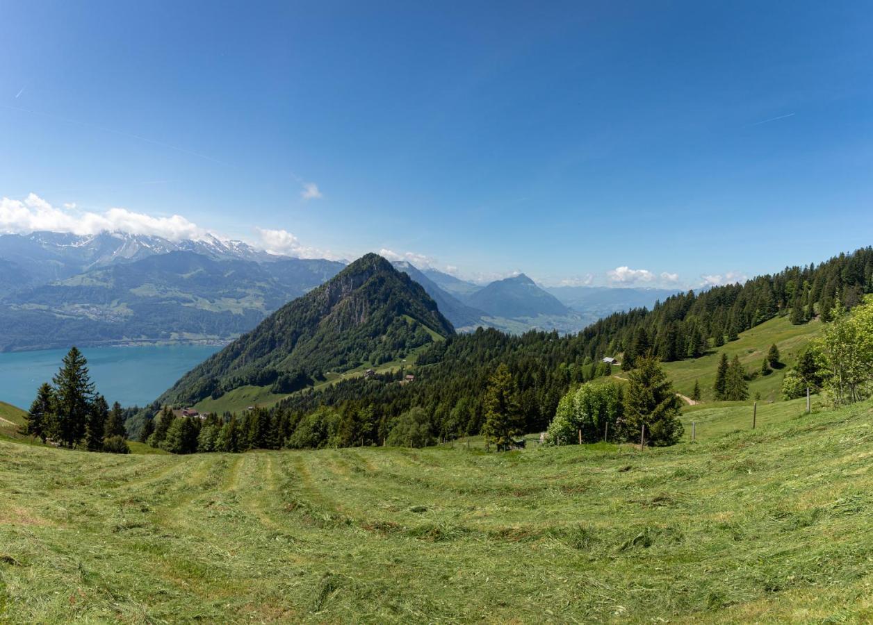 Rigi-Burggeist Alpine Guesthouse ゲルサウ エクステリア 写真