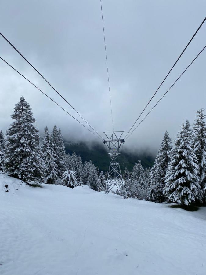 Rigi-Burggeist Alpine Guesthouse ゲルサウ エクステリア 写真
