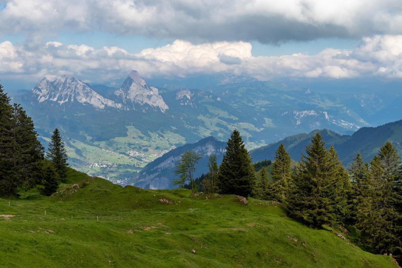 Rigi-Burggeist Alpine Guesthouse ゲルサウ エクステリア 写真